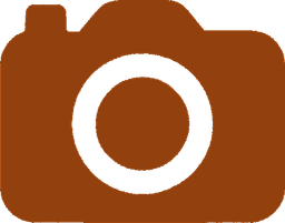 Camera Icon
